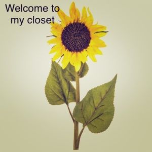 EVERYTHING 🌻🌻🌻